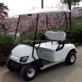 2 seat mini electric golf cart